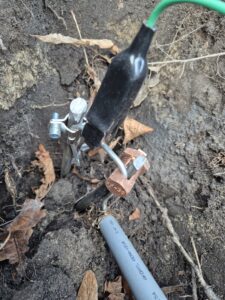 Aardpen slaan Den Haag in Kortenbos